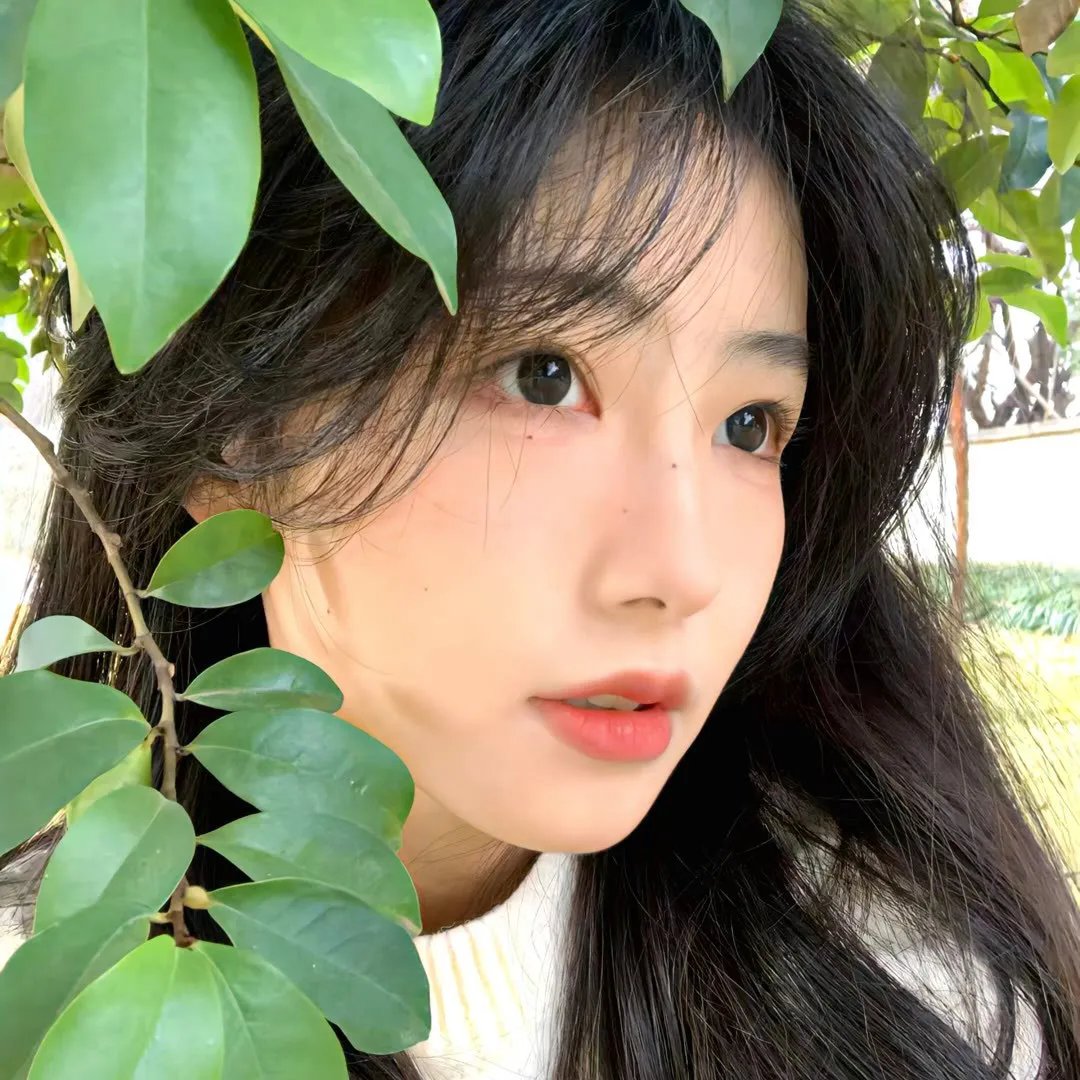 吸烟/不吸烟